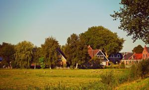 Земельный участок в Сегеже для молочной фермы